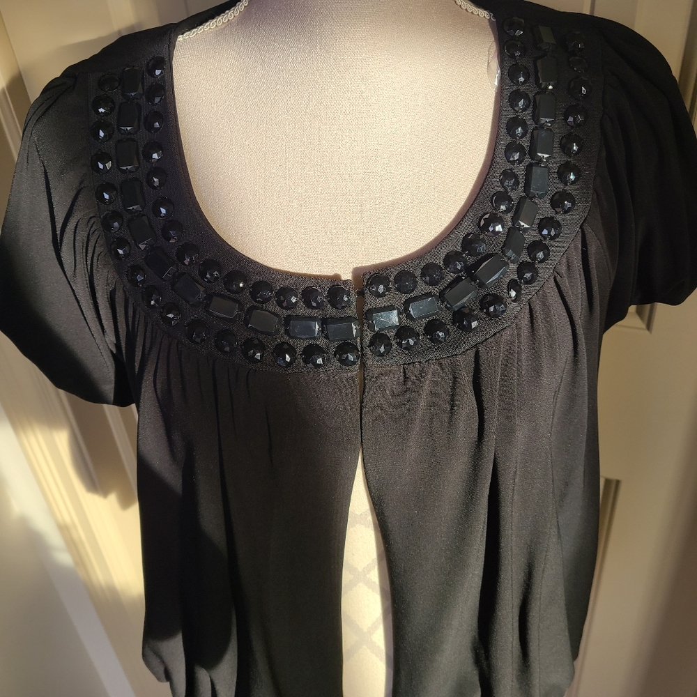 NWT Laura Dressy Cover